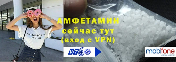 МДПВ Инсар