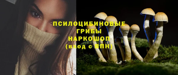 МДПВ Инсар