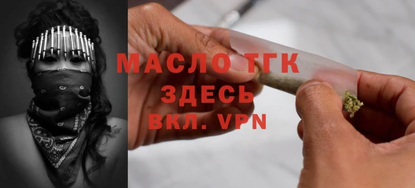 МДПВ Инсар