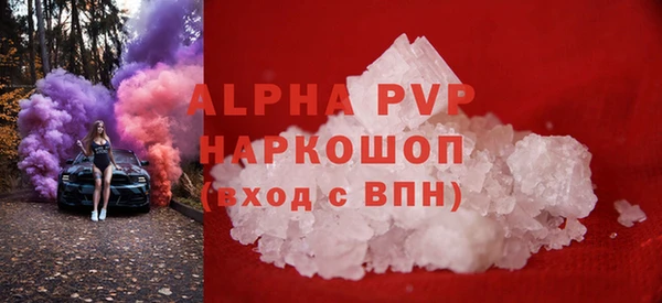 МДПВ Инсар