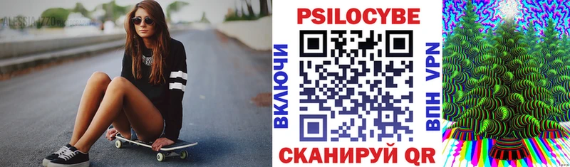 Купить где  Холмск  Псилоцибиновые грибы мицелий 